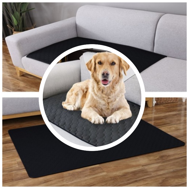 Účinná absorpční podložka pro psy – opakovaně použitelné